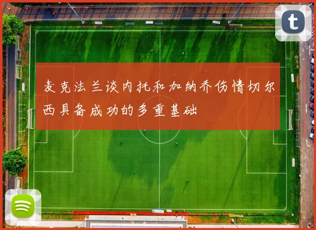 麦克法兰谈内托和加纳乔伤情切尔西具备成功的多重基础