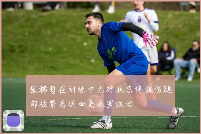 张稀哲在训练中无对抗急停扭伤腿部被紧急送回更衣室救治